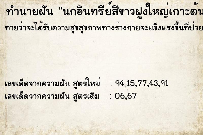 ทำนายฝันทำนายฝันนกอินทรีย์สีขาวฝูงใหญ่เกาะต้นคูณ