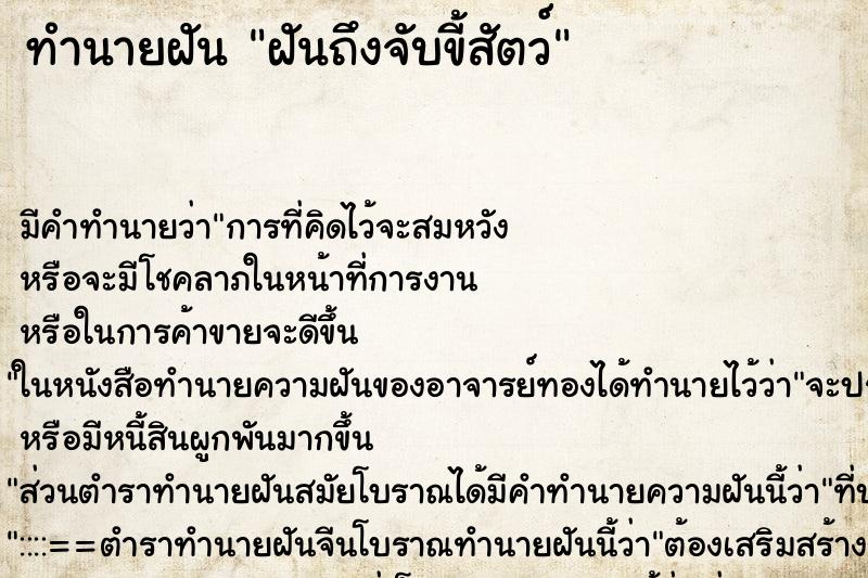 ทำนายฝันทำนายฝันฝันถึงจับขี้สัตว์