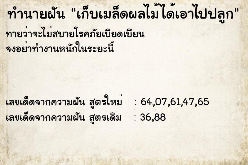 ทำนายฝันเก็บเมล็ดผลไม้ได้เอาไปปลูก ทำนายฝันทำนายฝันเก็บเมล็ดผลไม้ได้เอาไปปลูก