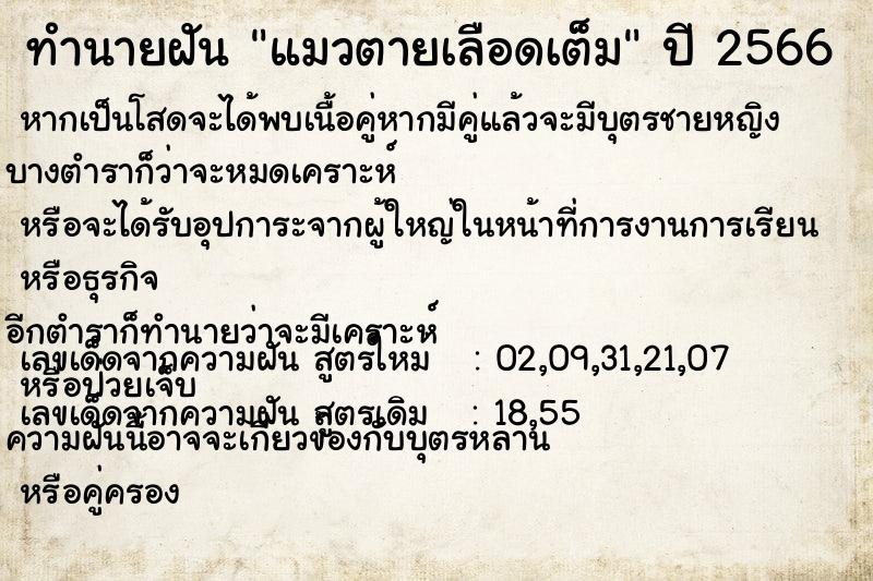 ทำนายฝัน แมวตายเลือดเต็ม