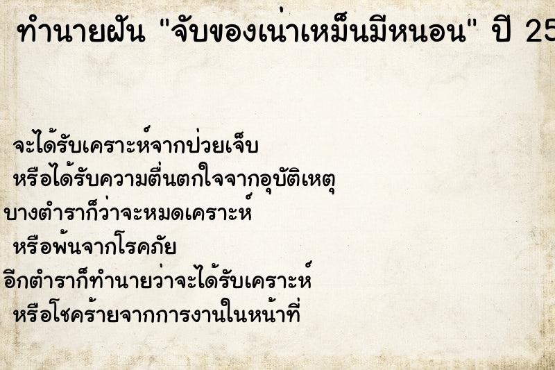 ทำนายฝันจับของเน่าเหม็นมีหนอน ทำนายฝันทำนายฝันจับของเน่าเหม็นมีหนอน