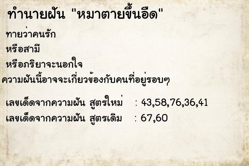ทำนายฝัน หมาตายขึ้นอืด ทำนายฝัน หมาตายขึ้นอืด