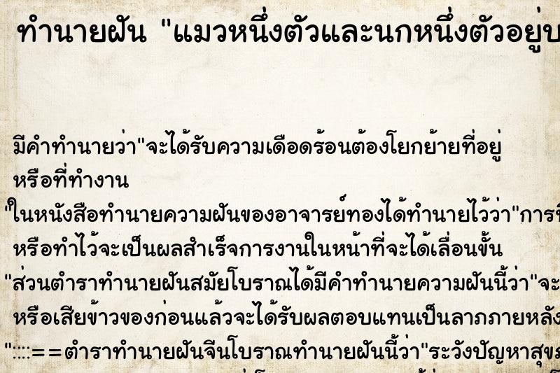 ทำนายฝันทำนายฝันแมวหนึ่งตัวและนกหนึ่งตัวอยู่บนโต๊ะกินข้าวในบ้าน
