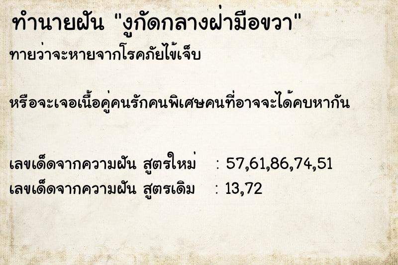 ทำนายฝันทำนายฝันงูกัดกลางฝ่ามือขวา