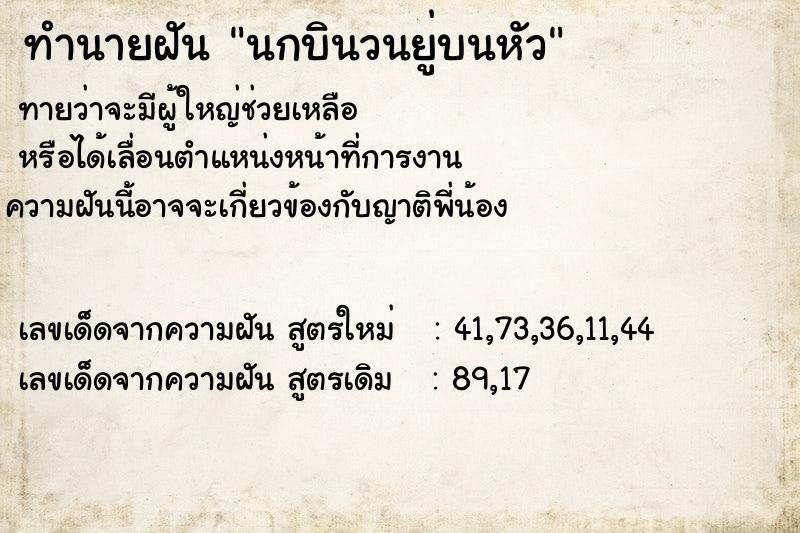 ทำนายฝันนกบินวนยู่บนหัว ทำนายฝันทำนายฝันนกบินวนยู่บนหัว