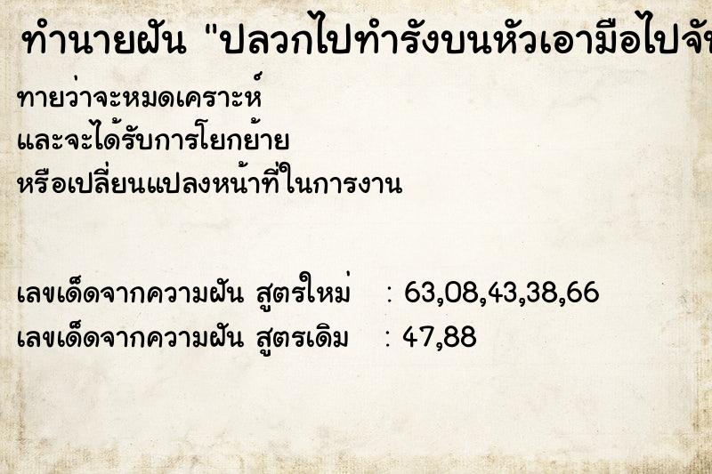 ทำนายฝันทำนายฝันปลวกไปทำรังบนหัวเอามือไปจับมีปลวกเต็มไปหมด