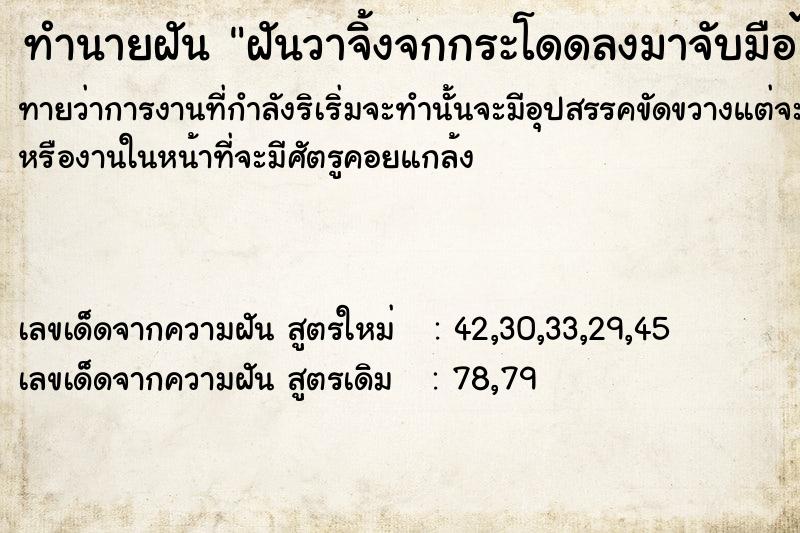 ทำนายฝันฝันวาจิ้งจกกระโดดลงมาจับมือไม่ยอมปล่อย ทำนายฝันทำนายฝันฝันวาจิ้งจกกระโดดลงมาจับมือไม่ยอมปล่อย