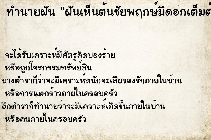 ทำนายฝันทำนายฝันฝันเห็นต้นชัยพฤกษ์มีดอกเต็มต้นคื