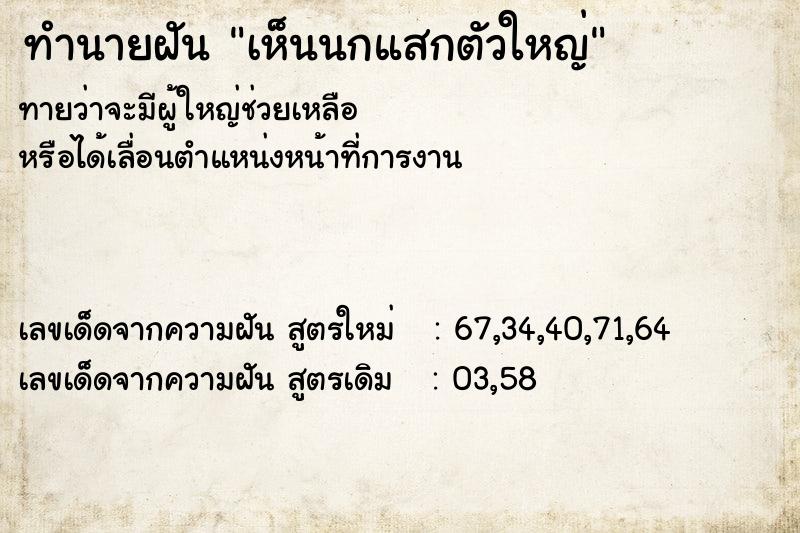 ทำนายฝันทำนายฝันเห็นนกแสกตัวใหญ่