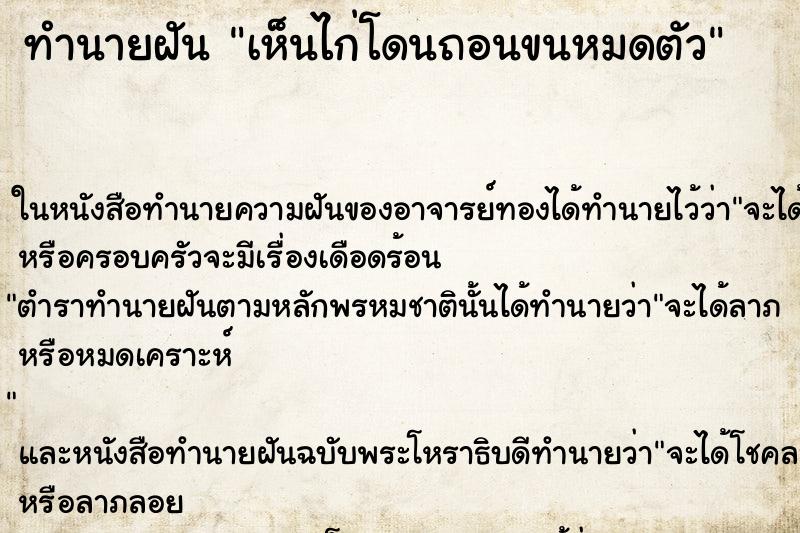 ทำนายฝันทำนายฝันเห็นไก่โดนถอนขนหมดตัว
