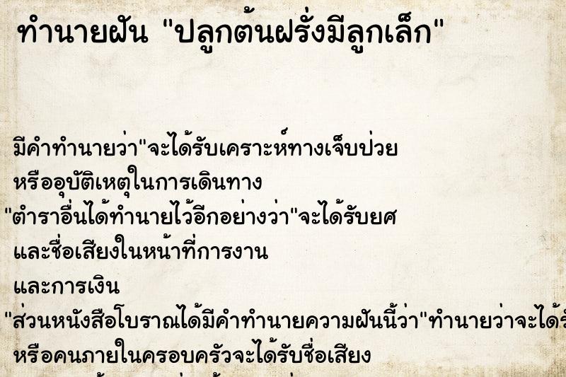 ทำนายฝัน ปลูกต้นฝรั่งมีลูกเล็ก ทำนายฝัน ปลูกต้นฝรั่งมีลูกเล็ก