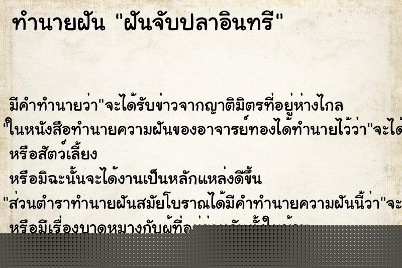 ทำนายฝันฝันจับปลาอินทรี ทำนายฝันทำนายฝันฝันจับปลาอินทรี
