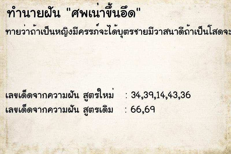 ทำนายฝัน ศพเน่าขึ้นอึด ทำนายฝัน ศพเน่าขึ้นอึด