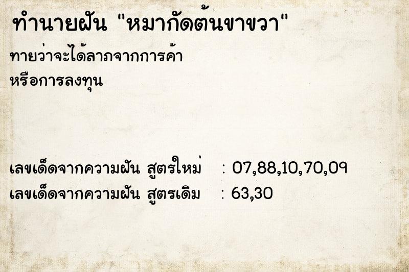 ทำนายฝันหมากัดต้นขาขวา ทำนายฝันทำนายฝันหมากัดต้นขาขวา