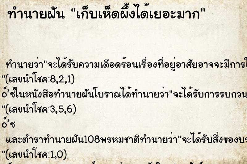 ทำนายฝัน เก็บเห็ดผึ้งได้เยอะมาก ทำนายฝัน เก็บเห็ดผึ้งได้เยอะมาก