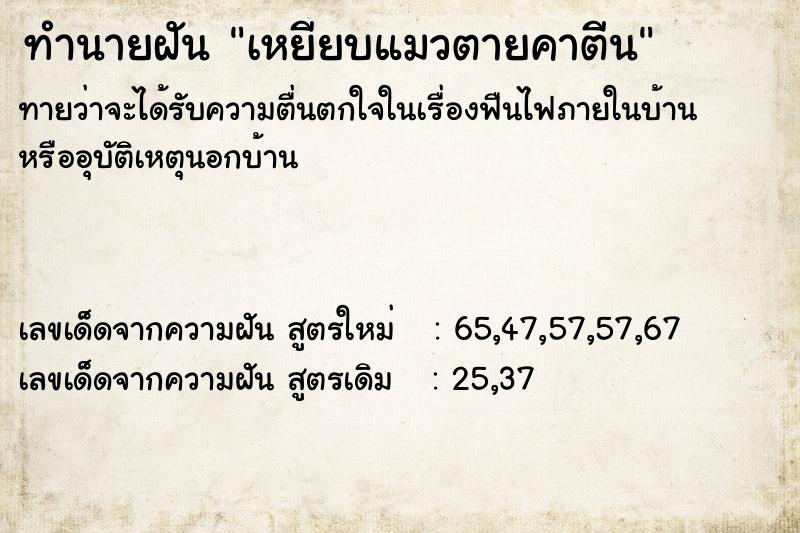 ทำนายฝันเหยียบแมวตายคาตีน ทำนายฝันทำนายฝันเหยียบแมวตายคาตีน