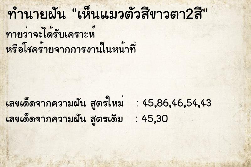 ทำนายฝัน เห็นแมวตัวสีขาวตา2สี ทำนายฝัน เห็นแมวตัวสีขาวตา2สี