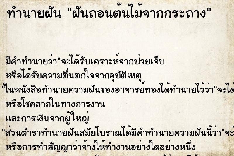 ทำนายฝัน ฝันถอนต้นไม้จากกระถาง ทำนายฝัน ฝันถอนต้นไม้จากกระถาง