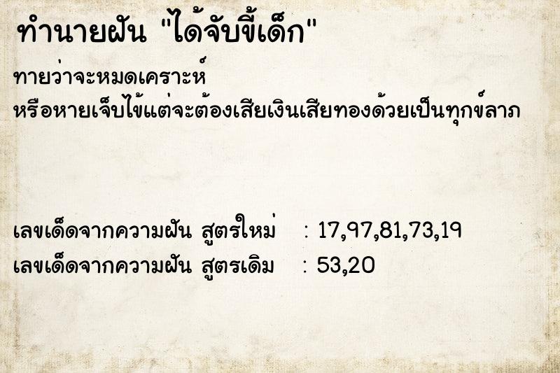 ทำนายฝันได้จับขี้เด็ก ทำนายฝันทำนายฝันได้จับขี้เด็ก