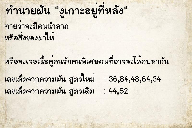 ทำนายฝันทำนายฝันงูเกาะอยู่ที่หลัง