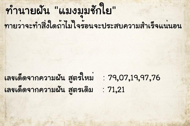 ทำนายฝันทำนายฝันแมงมุมชักใย