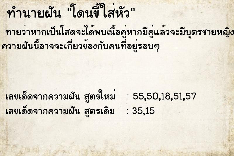 ทำนายฝันทำนายฝันโดนขี้ใส่หัว