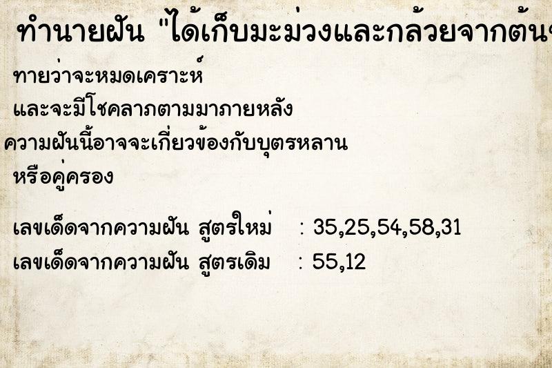 ทำนายฝันทำนายฝันได้เก็บมะม่วงและกล้วยจากต้นของมัน
