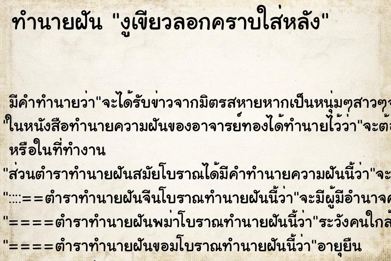 ทำนายฝันงูเขียวลอกคราบใส่หลัง ทำนายฝันทำนายฝันงูเขียวลอกคราบใส่หลัง