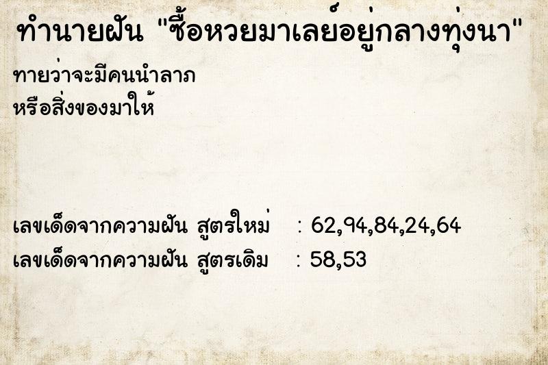 ทำนายฝันทำนายฝันซื้อหวยมาเลย์อยู่กลางทุ่งนา