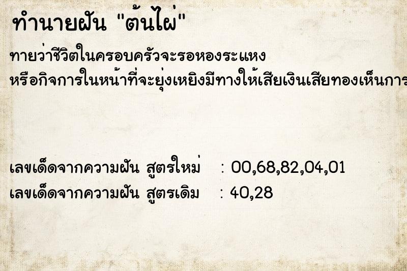 ทำนายฝัน ต้นไผ่ ทำนายฝัน ต้นไผ่