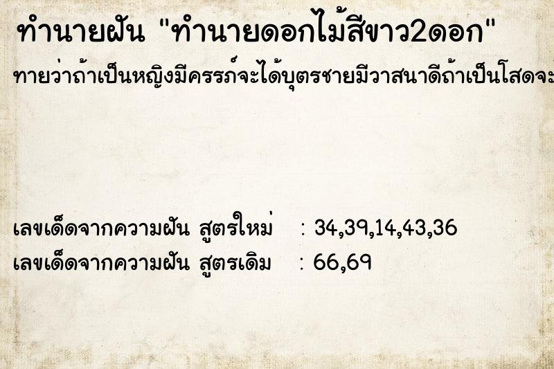 ทำนายฝันทำนายดอกไม้สีขาว2ดอก ทำนายฝันทำนายฝันทำนายดอกไม้สีขาว2ดอก
