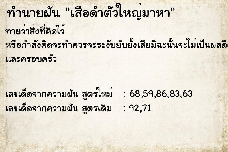 ทำนายฝันเสือดำตัวใหญ่มาหา ทำนายฝันทำนายฝันเสือดำตัวใหญ่มาหา