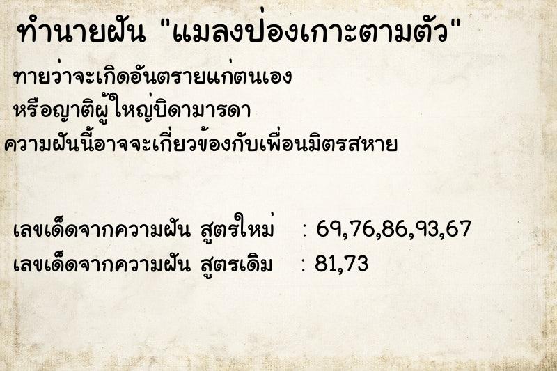 ทำนายฝันทำนายฝันแมลงป่องเกาะตามตัว