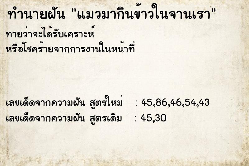 ทำนายฝัน แมวมากินข้าวในจานเรา ทำนายฝัน แมวมากินข้าวในจานเรา