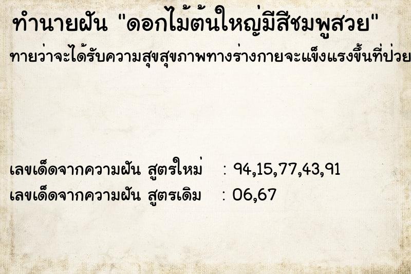 ทำนายฝันทำนายฝันดอกไม้ต้นใหญ่มีสีชมพูสวย