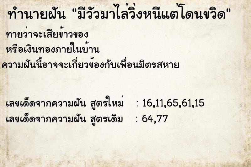 ทำนายฝันมีวัวมาไล่วิ่งหนีแต่โดนขวิด ทำนายฝันทำนายฝันมีวัวมาไล่วิ่งหนีแต่โดนขวิด