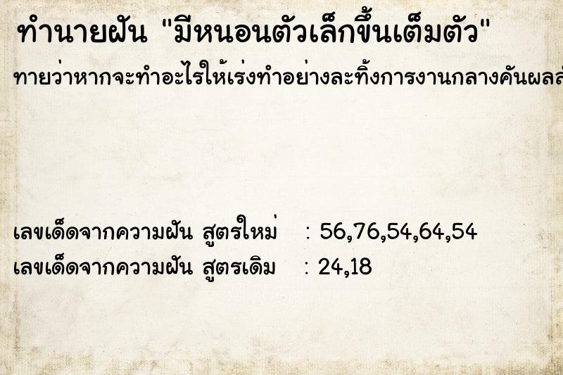 ทำนายฝันมีหนอนตัวเล็กขึ้นเต็มตัว ทำนายฝันทำนายฝันมีหนอนตัวเล็กขึ้นเต็มตัว
