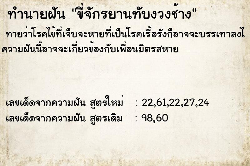 ทำนายฝันขี่จักรยานทับงวงช้าง ทำนายฝันทำนายฝันขี่จักรยานทับงวงช้าง