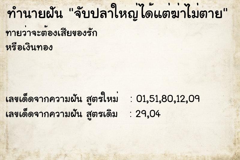 ทำนายฝันทำนายฝันจับปลาใหญ่ได้แต่ฆ่าไม่ตาย