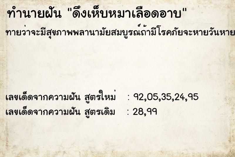 ทำนายฝันดึงเห็บหมาเลือดอาบ ทำนายฝันทำนายฝันดึงเห็บหมาเลือดอาบ