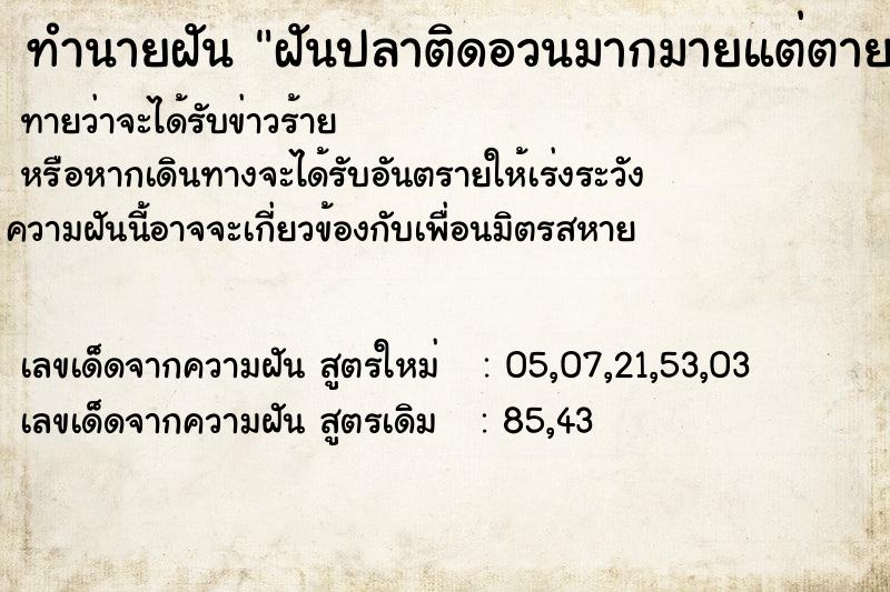 ทำนายฝันฝันปลาติดอวนมากมายแต่ตายแล้วติดมือมา ทำนายฝันทำนายฝันฝันปลาติดอวนมากมายแต่ตายแล้วติดมือมา