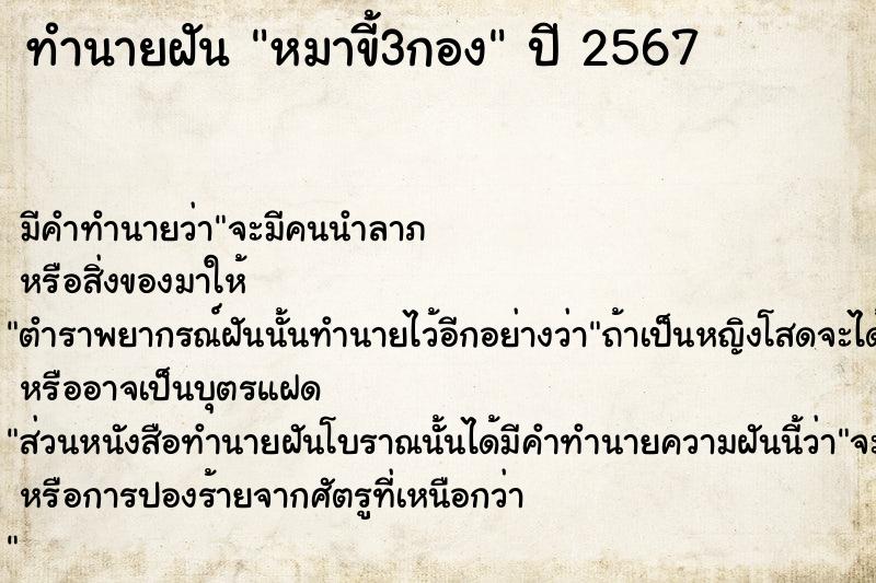 ทำนายฝัน หมาขี้3กอง ทำนายฝัน หมาขี้3กอง