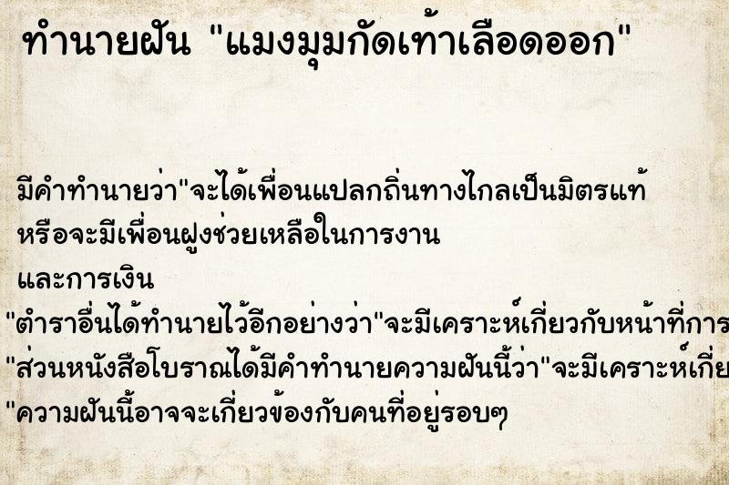 ทำนายฝันแมงมุมกัดเท้าเลือดออก ทำนายฝันทำนายฝันแมงมุมกัดเท้าเลือดออก