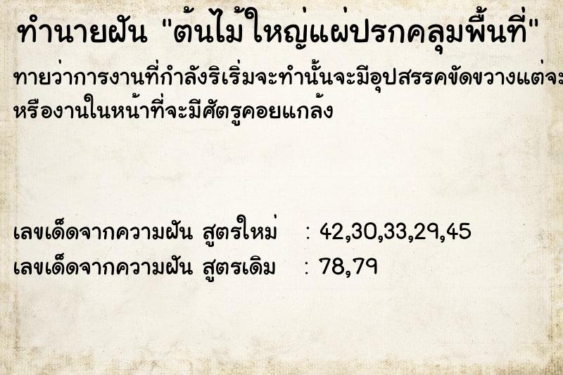 ทำนายฝัน ต้นไม้ใหญ่​แผ่ปรกคลุมพื้นที่
