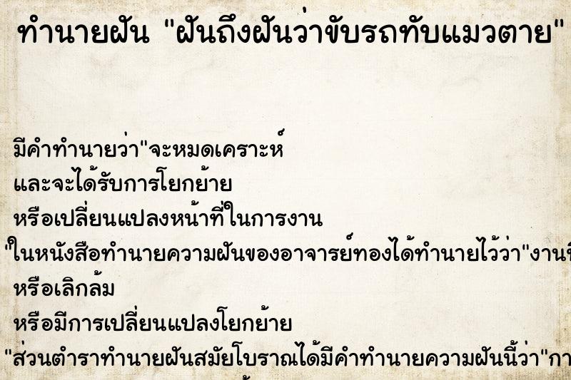ทำนายฝันฝันถึงฝันว่าขับรถทับแมวตาย ทำนายฝันทำนายฝันฝันถึงฝันว่าขับรถทับแมวตาย