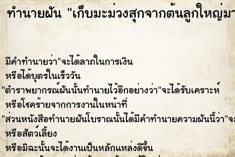 ทำนายฝัน เก็บมะม่วงสุกจากต้นลูกใหญ่มากหลายลูก ทำนายฝัน เก็บมะม่วงสุกจากต้นลูกใหญ่มากหลายลูก