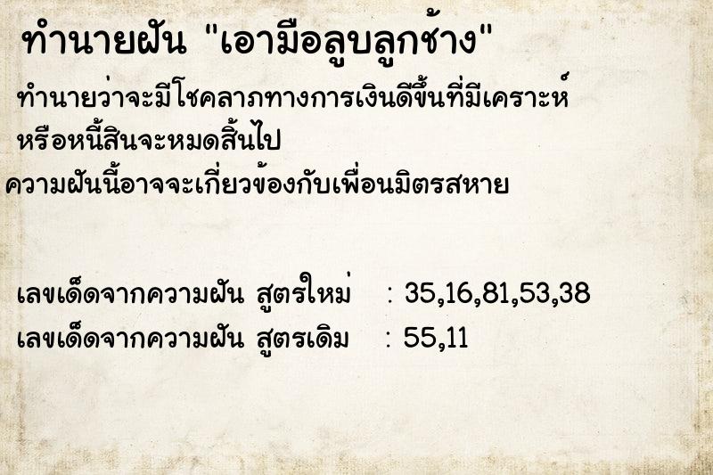 ทำนายฝันทำนายฝันเอามือลูบลูกช้าง