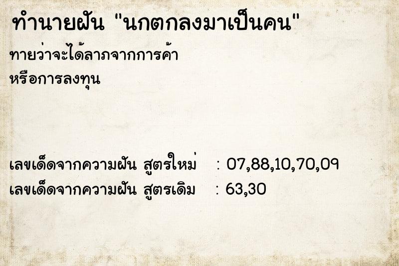 ทำนายฝันนกตกลงมาเป็นคน ทำนายฝันทำนายฝันนกตกลงมาเป็นคน