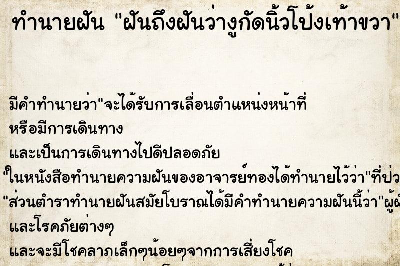 ทำนายฝันทำนายฝันฝันถึงฝันว่างูกัดนิ้วโป้งเท้าขวา