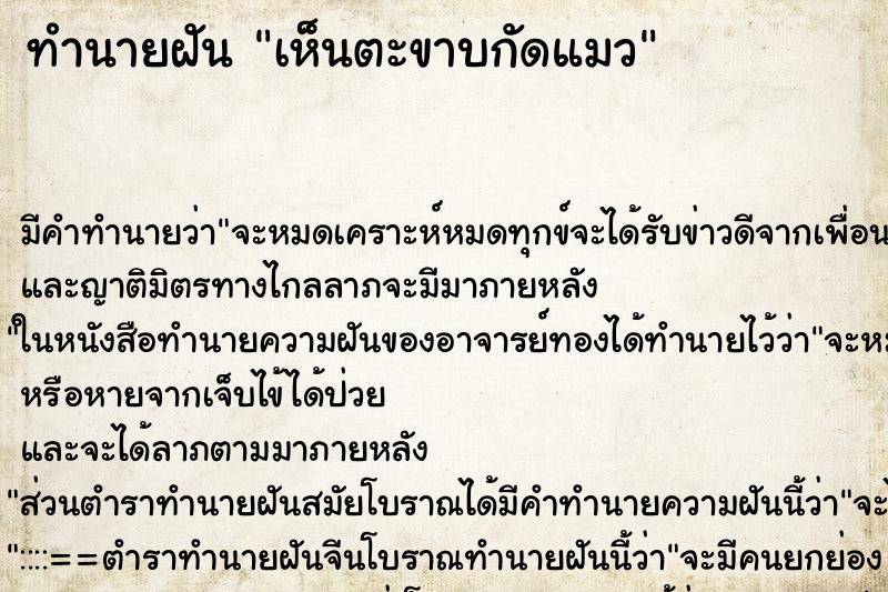 ทำนายฝัน เห็นตะขาบกัดแมว ตำราโบราณ แม่นที่สุดในโลก